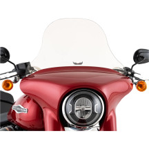Windshield