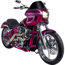 S-RT Mini Fairing — Mini, Black gloss