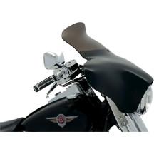 Batwing Spoiler Windshield