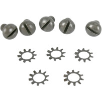 Wheel Hub Outer Screw Kit — Parkerized silver