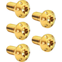Holeshot Brake Rotor Bolt Kit