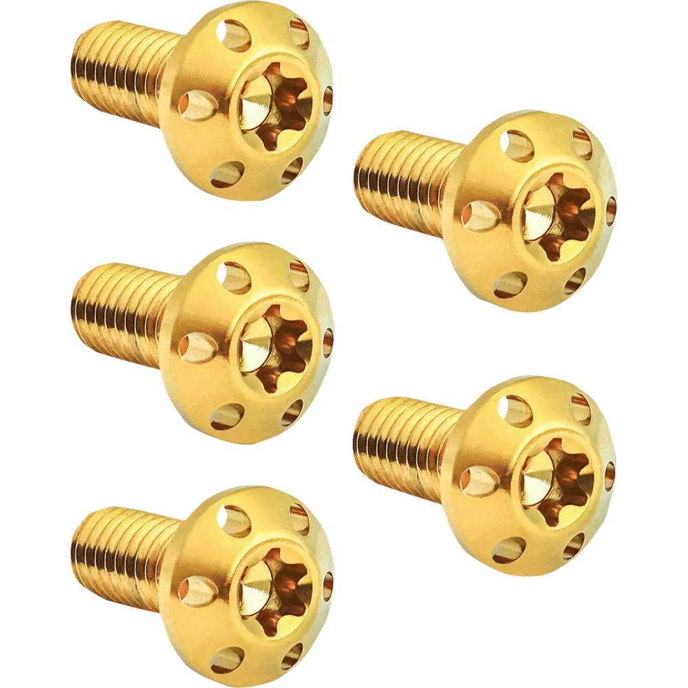 Holeshot Brake Rotor Bolt Kit