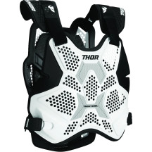 Sentinel Pro Guard