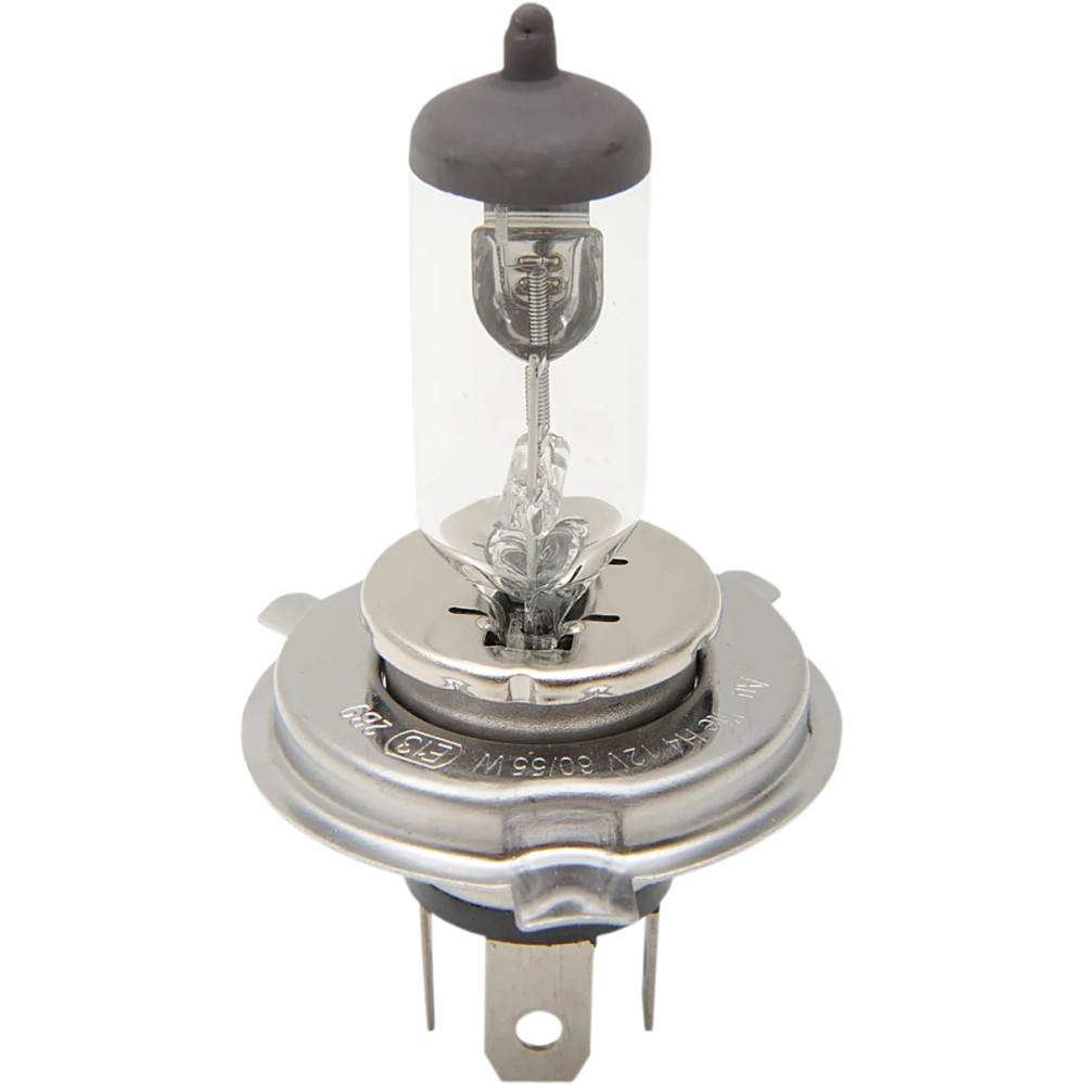 Halogen Headlight Bulb Halogen Headlight Bulb