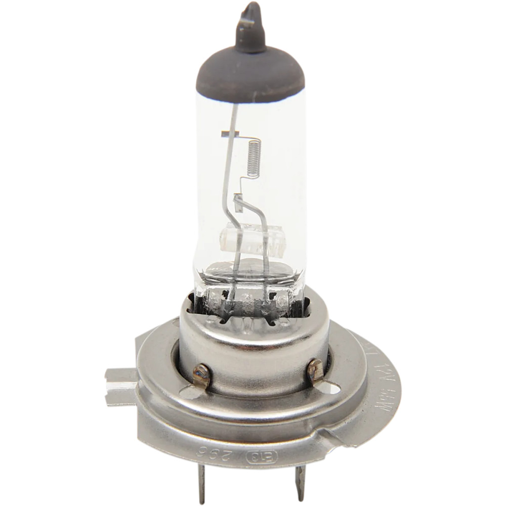 Halogen Headlight Bulb