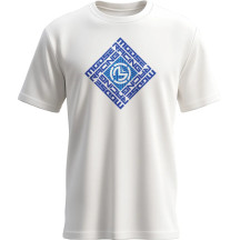 Youth Spin Sync T-Shirt — Youth, S, Blue/White