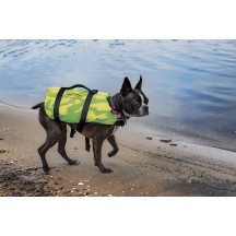 Pet Vest