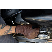 Borrego Gloves
