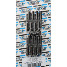 Primary Cover Bolt Kit — Black, Chrome