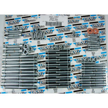 Kit completo de pernos de motor — cromado, plateado