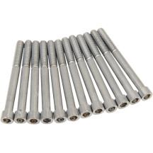 M-Eight Bolt Kit — Crankcase, Chrome, Silver