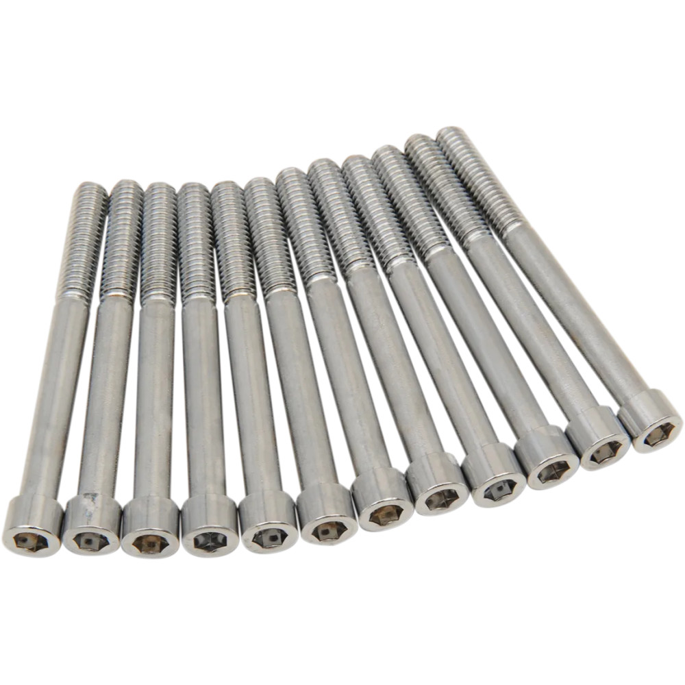 M-Eight Bolt Kit — Crankcase, Chrome, Silver