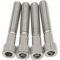 M-Eight Bolt Kit — Transmission side cover, Chrome