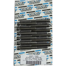 M-Eight Bolt Kit — Crankcase, Black/Chrome