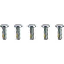 Brake Rotor Hardware Kit — 5/16"-18 thread, 22.2 mm (7/8") length, zinc finish