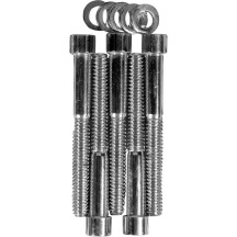 Transmission Side Cover Bolt Set — Chrome