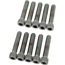 Socket-Head Bolts — 31.8 mm (1-1/4"), socket head, 10-pack, silver, chrome polished