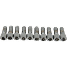 Socket-Head Bolts — 20 mm (3/4"), 10 Pack, Chrome