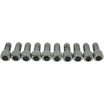 Socket-Head Bolts — 20 mm (3/4"), SAE, 10 Pack, Chrome