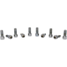 Tornillos de cabeza allen de rosca fina de repuesto — 5/16-24, 20 mm (3/4\"), paquete de 10, cromo