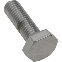 Replacement Fine Thread Hex Head Bolts — 1/4\"-28, 20 mm (3/4\"), 10 pack, Chrome