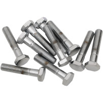Replacement Fine Thread Hex Head Bolts — 1/4"-28, 1", 10-pack, chrome