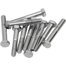 Replacement Fine Thread Hex Head Bolts — 5/16"-24, 45 mm (1-3/4"), 10-pack