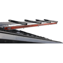 Traction Ladder
