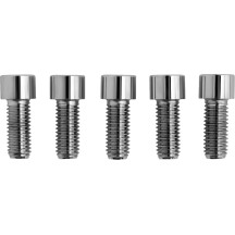 Pernos de rosca gruesa con cabeza de vaso de reemplazo — 1/2"-13, 31,8 mm (1-1/4"), SAE, paquete de 5, cromo