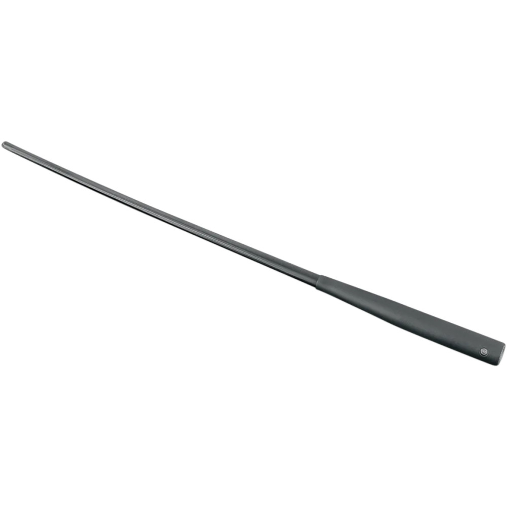 Dual-Function Flexible Antenna