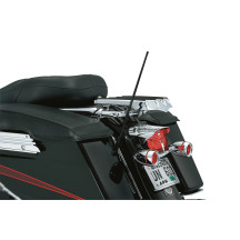 Dual-Function Flexible Antenna