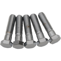 Tornillos Hexagonales de Reemplazo