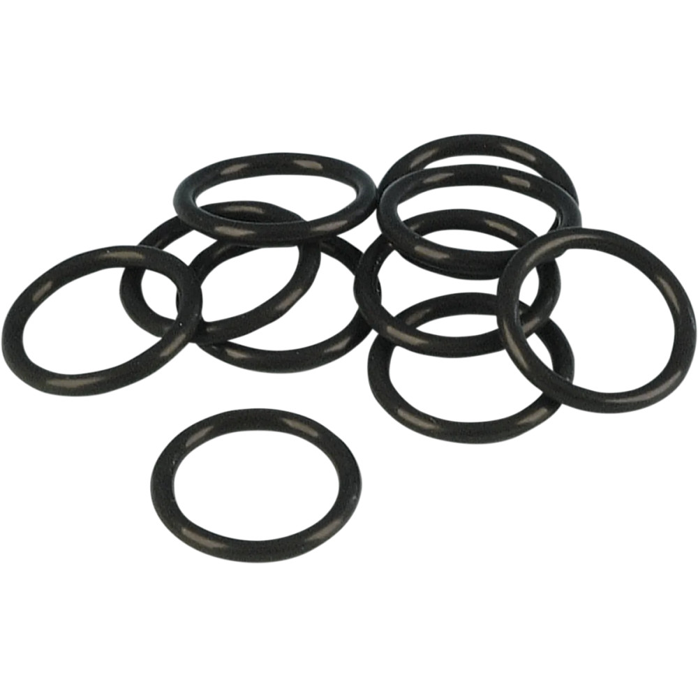 Cam Position Sensor O-Ring