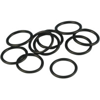 Crank Sensor O-Ring — 10-pack, Cam Position Sensor