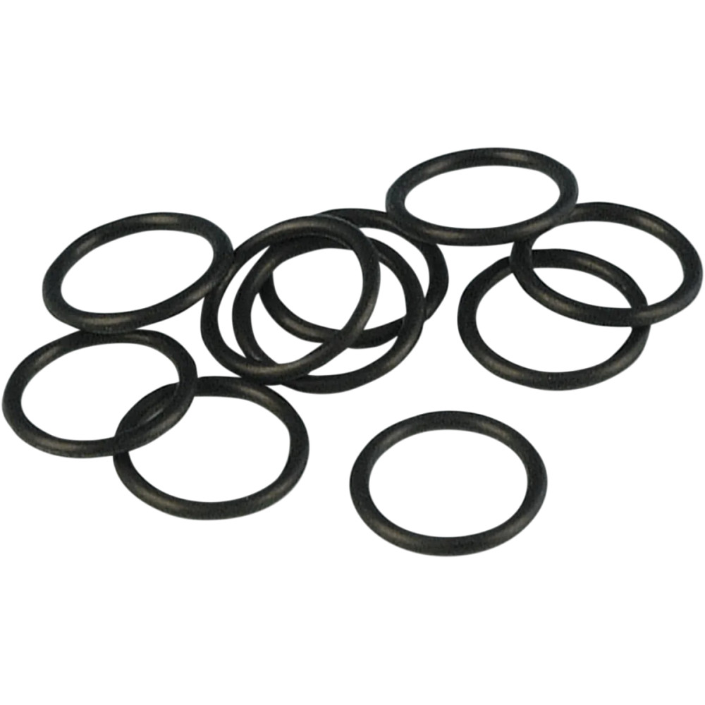 Crank Sensor O-Ring — 10-pack, Cam Position Sensor
