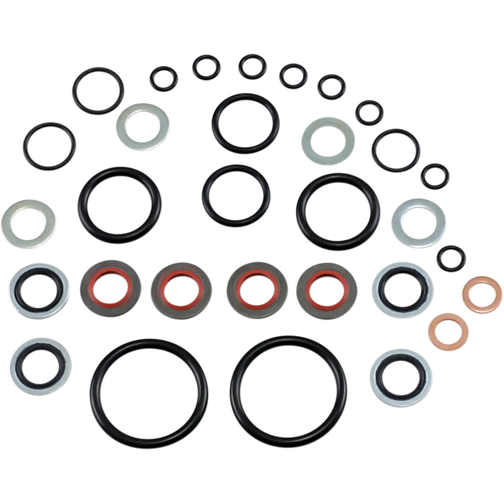 Kit de O-rings y sellos para control de aire