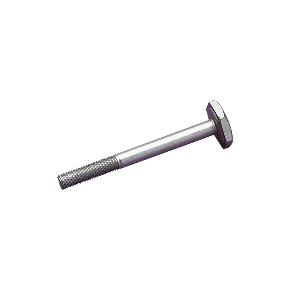 Replacement Timing Bolt Replacement Timing Bolt