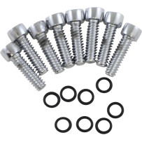Turn Signal Lens Bolt Kit — Chrome, P-61-13