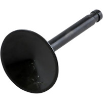 Nitrided Valve — Head 1.950" , Stem 0.3765" , Length 3.885"