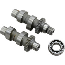 Cam Set for Chain Drive