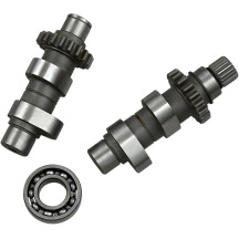 Cam Set for Chain Drive