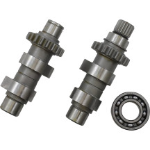 Cam Set for Chain Drive