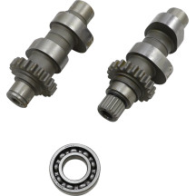Cam Set for Chain Drive