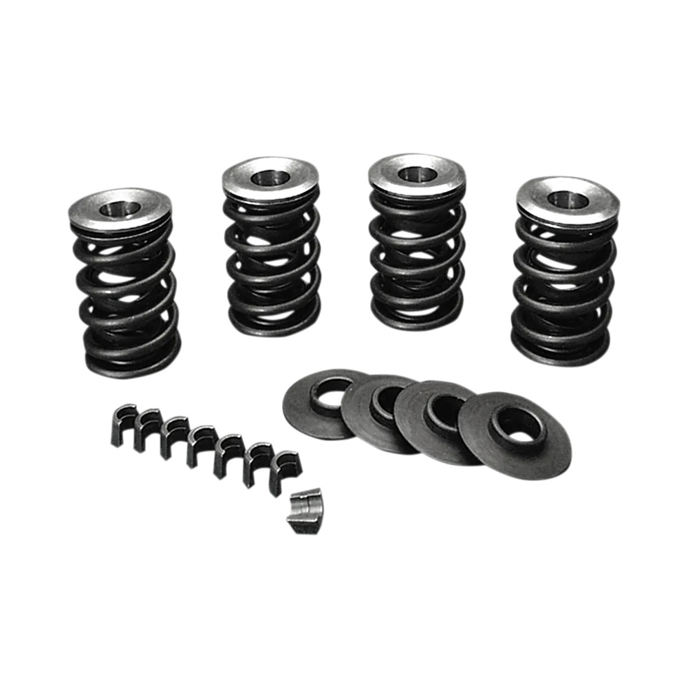 Valve Spring Kit Valve Spring Kit