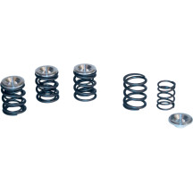 High-Lift Valve Spring Kit