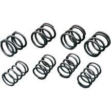 High-Lift Valve Springs