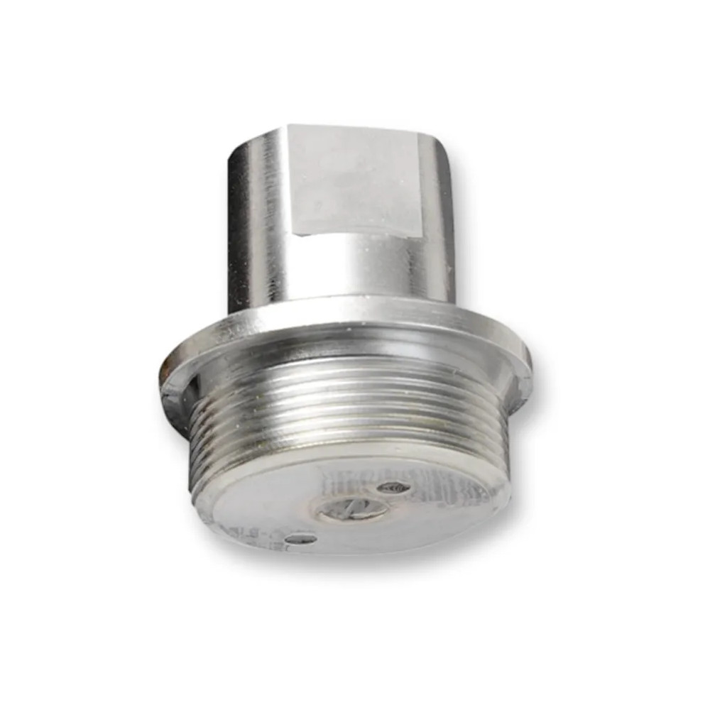Upper Fork Tube Caps/Bolts — Standard