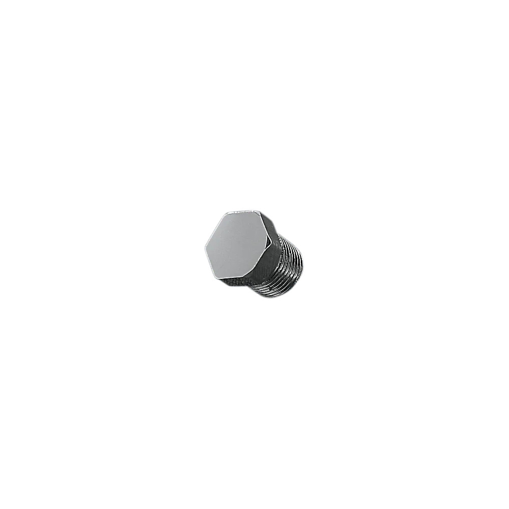 Chrome Hex Drain Plug