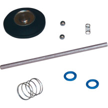 Accelerator Pump Rebuild Kit