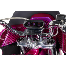 Speedometer Mount